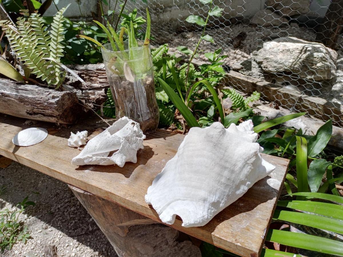 Mi Cuartito En Bacalar Daire Dış mekan fotoğraf