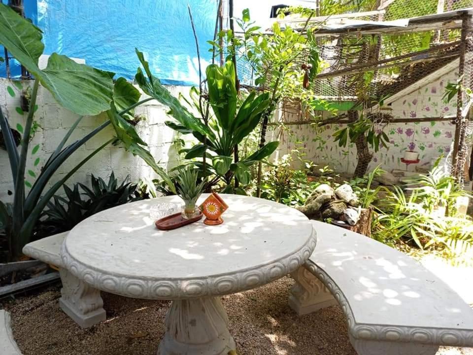Mi Cuartito En Bacalar Daire Dış mekan fotoğraf