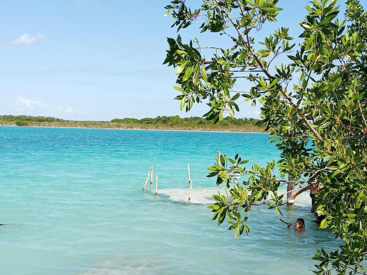 Mi Cuartito En Bacalar Daire Dış mekan fotoğraf