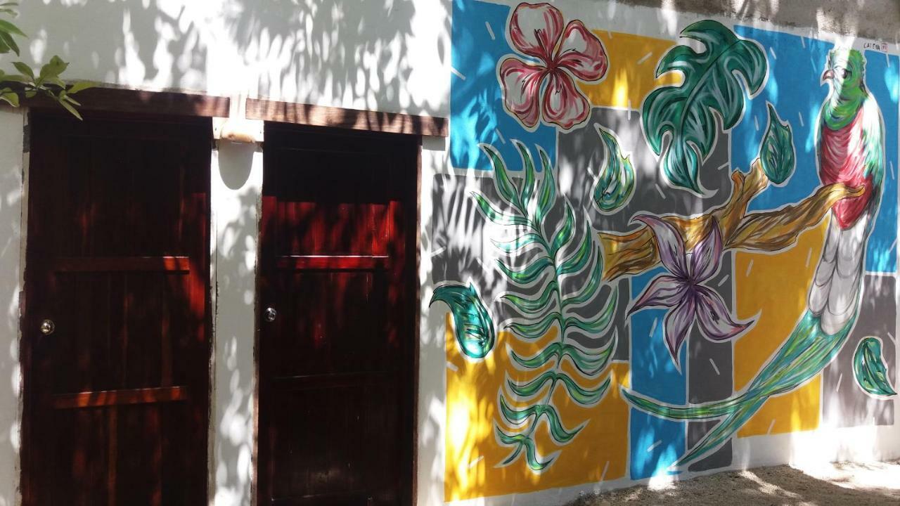 Mi Cuartito En Bacalar Daire Dış mekan fotoğraf